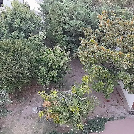 Gemani Rhodes * עיר רודוס